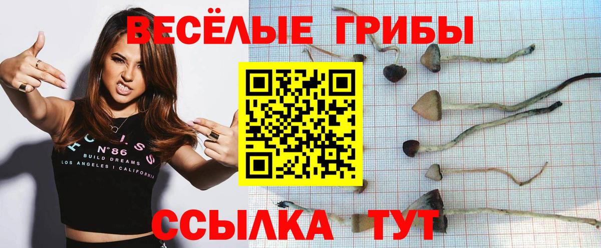 Галлюциногенные грибы Magic Shrooms Белово